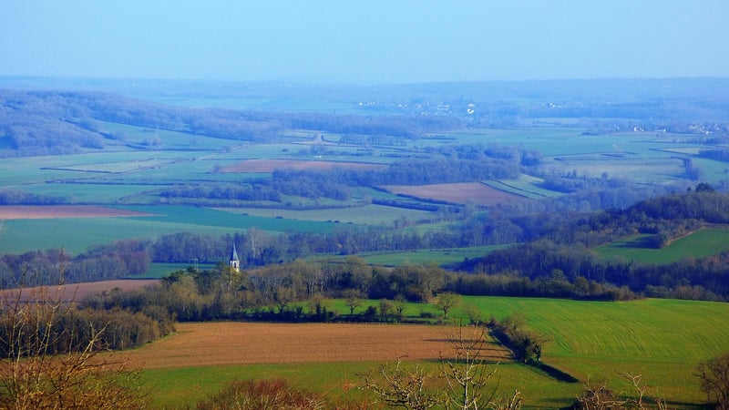 Aerial Shots